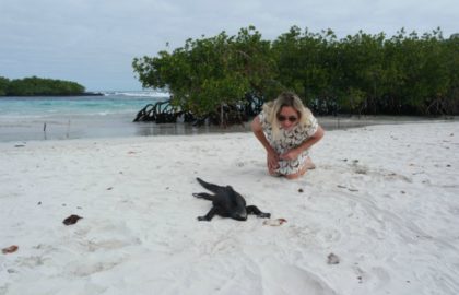 Galapagos